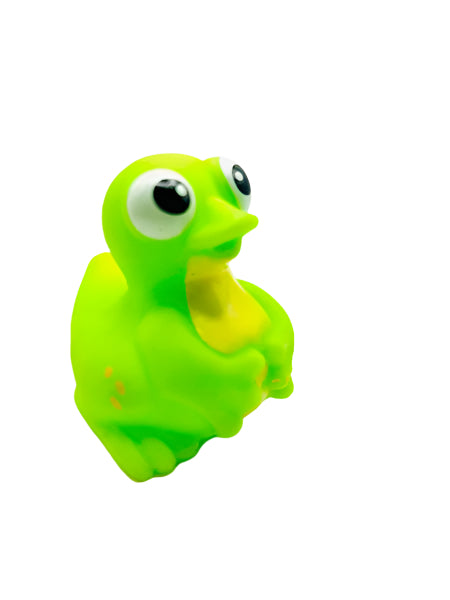 Spring Animals