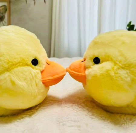 Duck Slippers