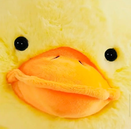 Duck Slippers