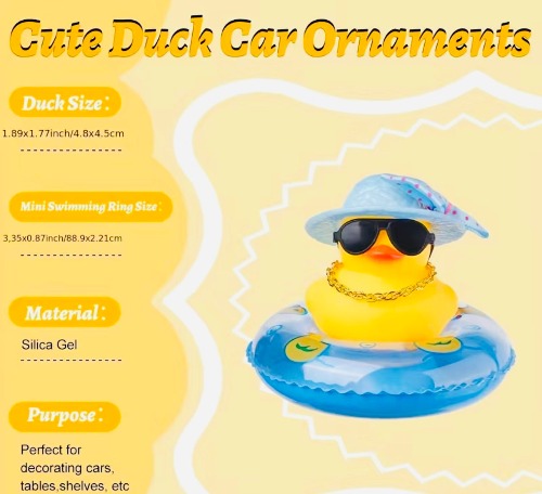 Duck Car Dashboard