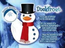 Duckfrost - Cool Man