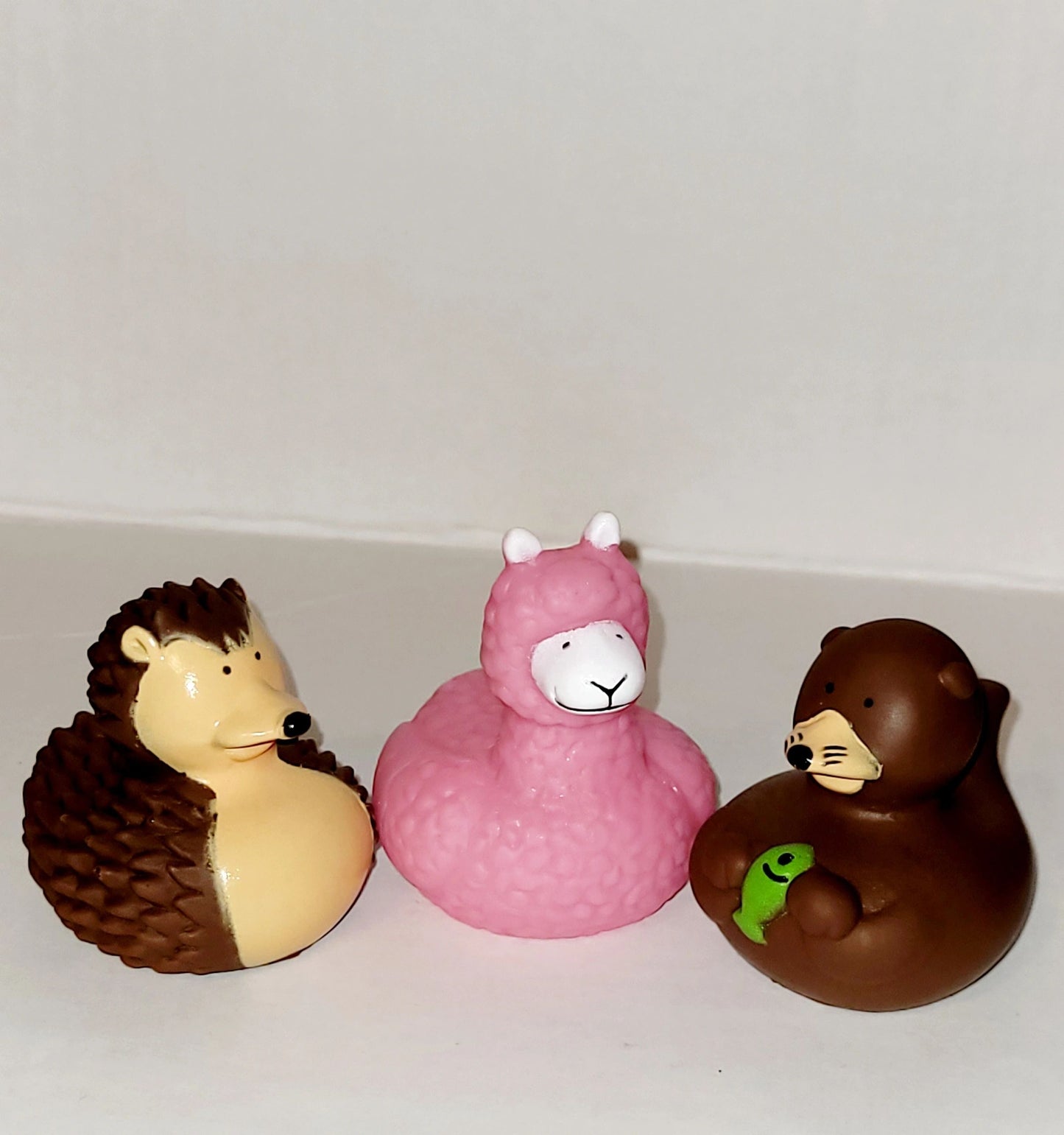 Cute Animals