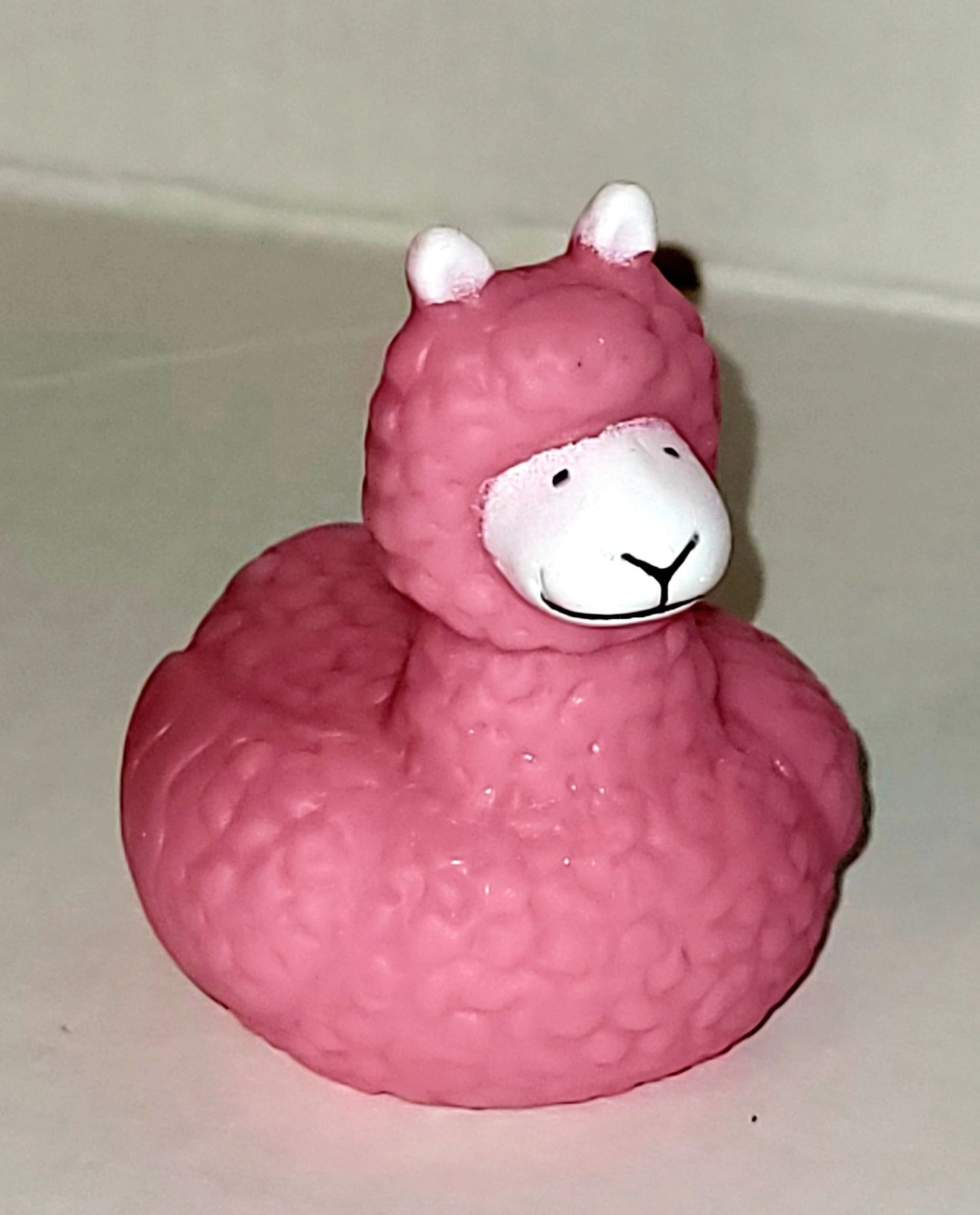 Cute Animals