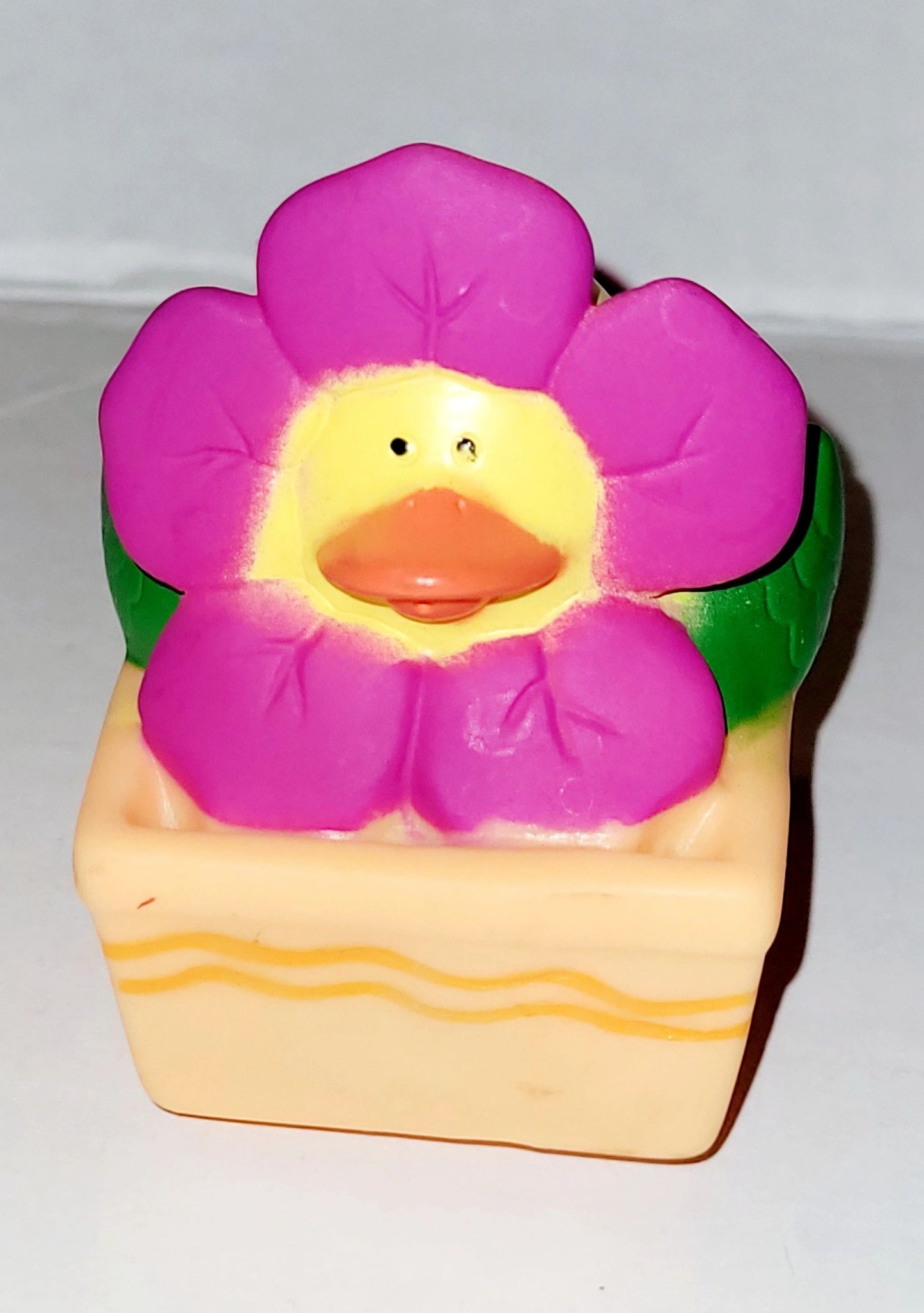 Flower/Spring Flower