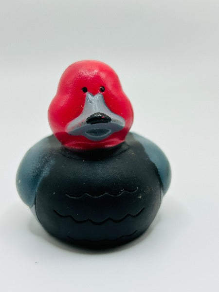 Decoy