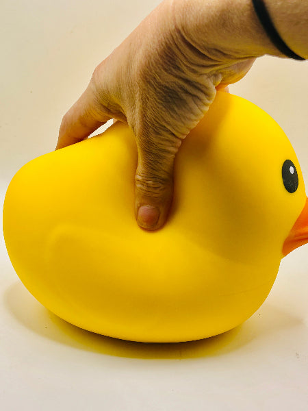 Squishy Duck