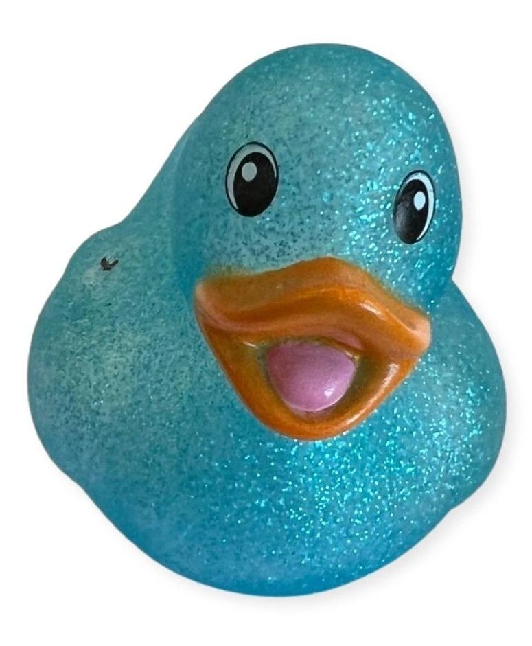 Glitter Duck (RI) #2