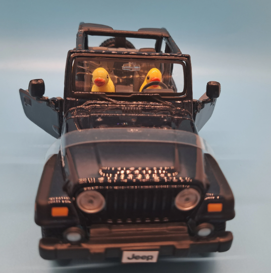 Jeep Wrangler Rubicon Open Top