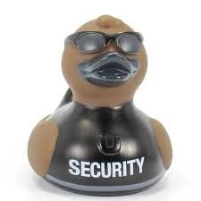 Security
